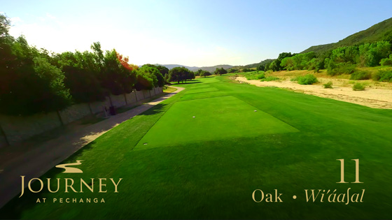 Oak